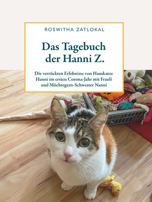 cover image of Das Tagebuch der Hanni Z.